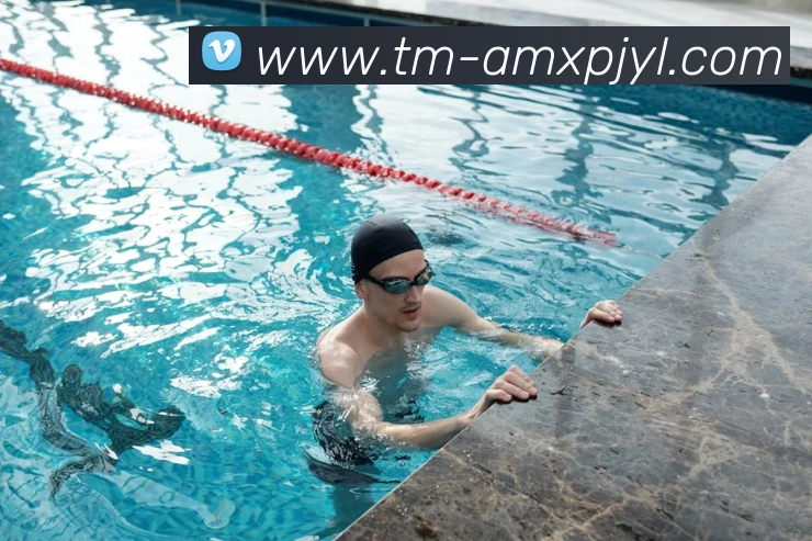 App Interface Preview